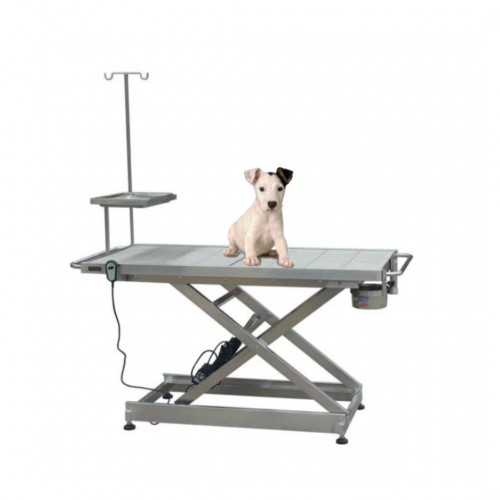 Veterinary Operating Surgical Table Stainless Steel Examination Tble WT-01 with Electric Lifting