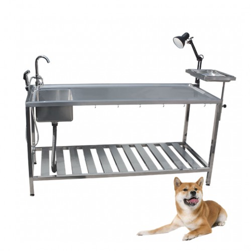 Veterinary Stainless Steel Anatomy Table Pet Animal Dissection Table WT-38-1