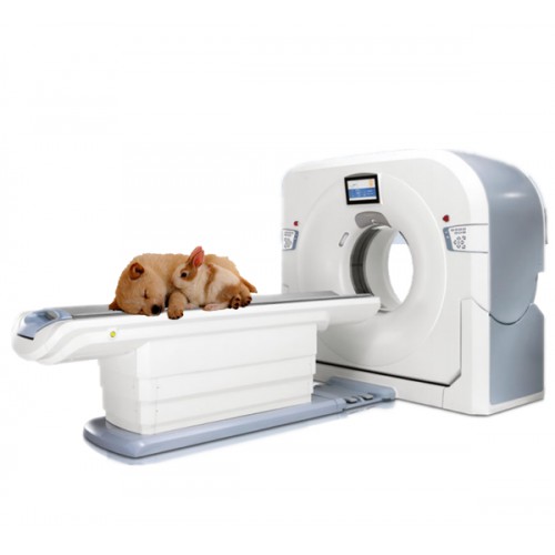 Animal Pet CT Veterinary Equipment Veterinary CT System WCT-1