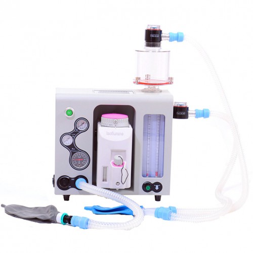 Dolphinmed Veterinary Anesthesia Techniques Machine