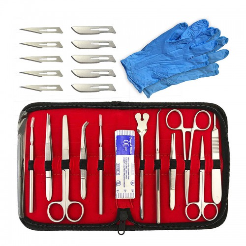 22Pcs Vet Scalpel Tool Stainless Steel Dissection Scissors Anatomical Tweezers Needle Medical Experiment tool