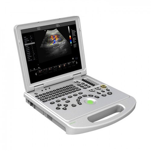 DW L5-VET Laptop 4D Color Veterinary Doppler Ultrasound Machine Dog Canine Ultrasound Scanner