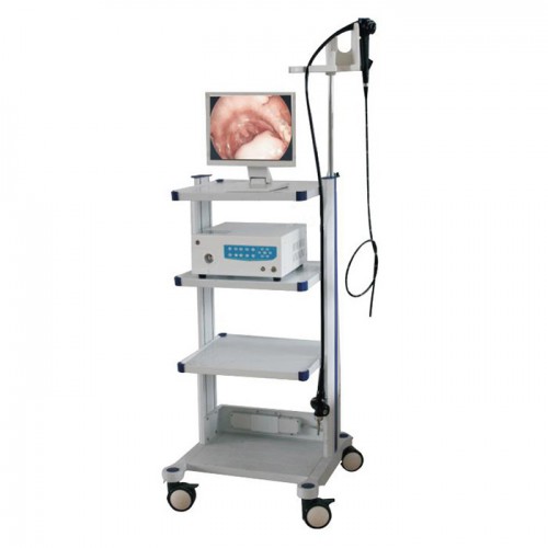 Veterinary Animal Endoscope Video System VET-600