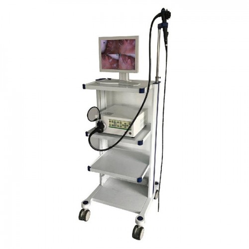 Veterinary Animal Endoscope Video System VET-900A