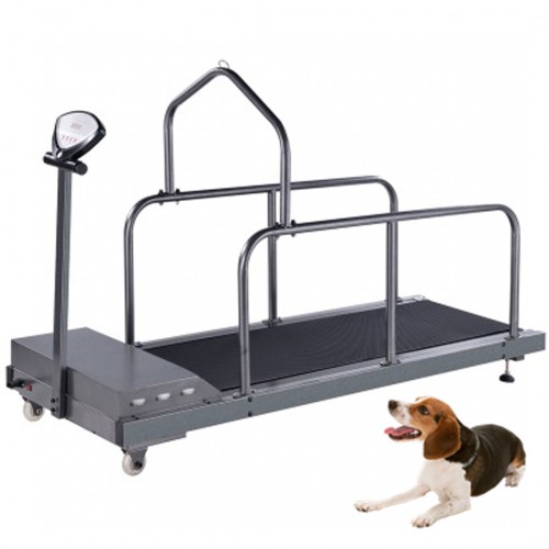 YUSHENG YS-C300 Pet Dog Treadmill Walking Machine