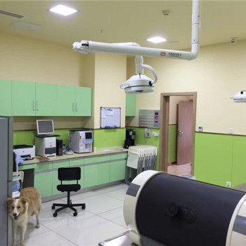 KWS KD-2012D-3C 36W LED Veterinary Surgical Lighting CE Ceiling Mounted