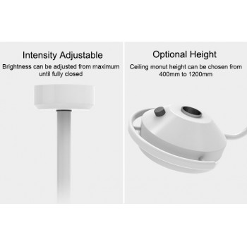 KWS KD-2012D-3C 36W LED Veterinary Surgical Lighting CE Ceiling Mounted