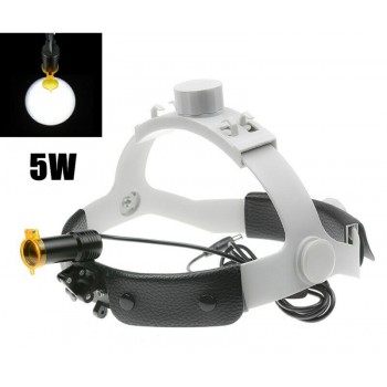Veterinary 5W LED Head Light w/ Filter Headband Headlamp