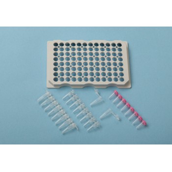Veterinary Centrifuge PCR Plate Horizontal Centrifuge MPC-P25 Speed 2200rpm Force 480g