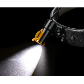 Veterinary 5W LED Head Light with Filter Headband Headlamp + Aluminum Box