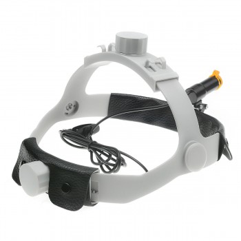 Veterinary 5W LED Head Light with Filter Headband Headlamp + Aluminum Box