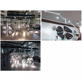 KL KL-LED-MSZ4 Veterinary LED Cold Source Shadowless Operation Light Surgical Lamp(AC/DC)
