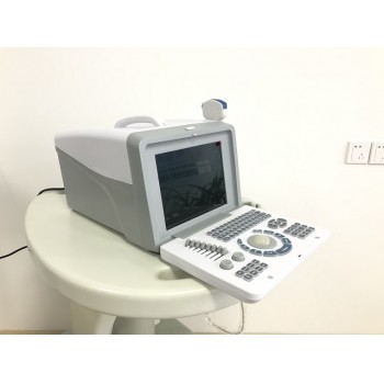 Sonostar SS-5 Portable Multiple Probe Veterinary B/W Ultrasound Scanner For Animal Hospital