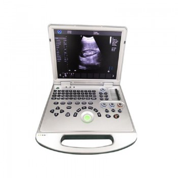HUC-250 Portable 2D/3D Color Doppler Ultrasonic Diagnostic System Animal Laptop Ultrasound Scanner