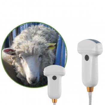 BMV MX5 B/W Portable Ultrasound Scanner For Livestock Animal Scanning