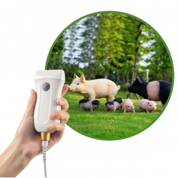 BMV MX5 B/W Portable Ultrasound Scanner For Livestock Animal Scanning