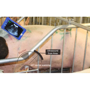 BMV MX5 B/W Portable Ultrasound Scanner For Livestock Animal Scanning