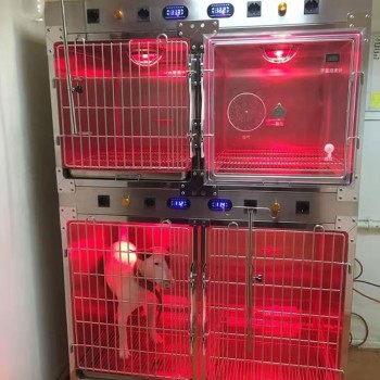 Vet Pet Cages Stainless Steel Animal Pet Cages C-07 with Inpatient Oxygen Cage + Warm Light