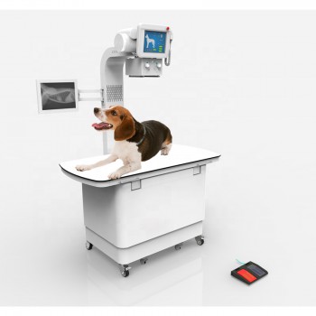 Veterinary Stationary X-ray Equipment Digital X-ray Machine 320mA