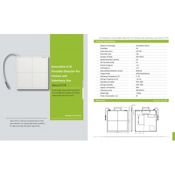 Veterinary Stationary X-ray Equipment Digital X-ray Machine 320mA