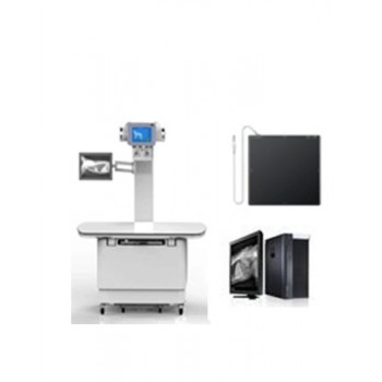 Veterinary Stationary X-ray Equipment Digital X-ray Machine 320mA