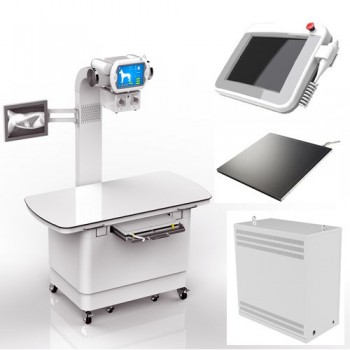 Veterinary Stationary X-ray Equipment Digital X-ray Machine 320mA
