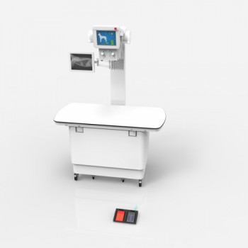 Veterinary Stationary X-ray Equipment Digital X-ray Machine 320mA