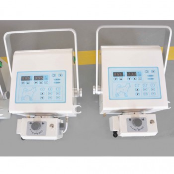 Veterinary High Quality Portable X-ray Machine 4KW