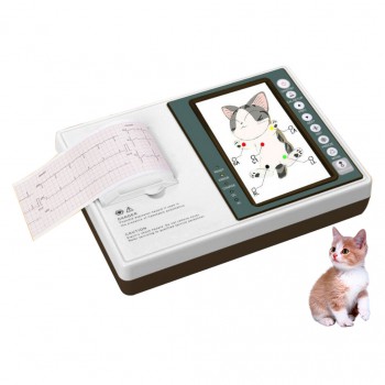 Veterinary ECG300V 3-channel 12 lead Electrocardiograph ECG /EKG Machine