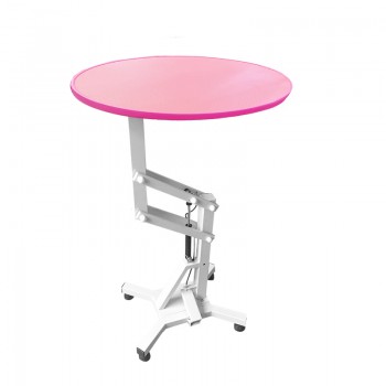 Pet Pneumatic Grooming Round Table High Adjustable Rotatable Table-top for Cat Dog Small Animal WN-209