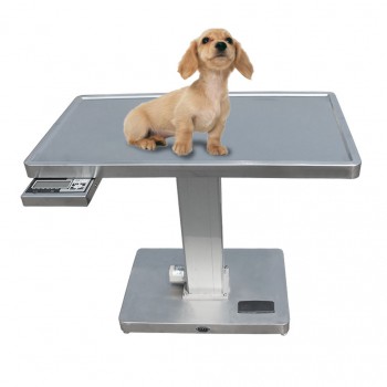 Veterinary Multifunctional Electric Examination Table Pet Treatment Table WT-21 With Weighing Scale