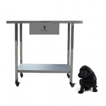 Veterinary Examination Table Pet Treatment Table WT-25 With Drawer (Stainless St...