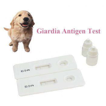 ABGENOME Veterinary Canine Giardia Ag Test for Dog Giardia Detection
