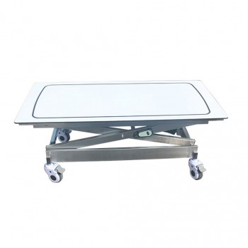 Veterinary Lifting Adjustable Operating Table Vet Examination Table WT-30