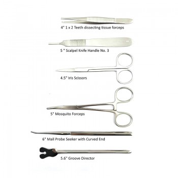 22Pcs Vet Scalpel Tool Stainless Steel Dissection Scissors Anatomical Tweezers Needle Medical Experiment tool