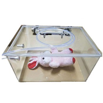 Veterinary Anesthesia Induction Chamber Customized Size Small Animal Induction Anesthesia Box