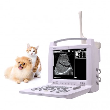 Veterinary B/W Ultrasound scanner Vet Ultrasound Machine HV-3018