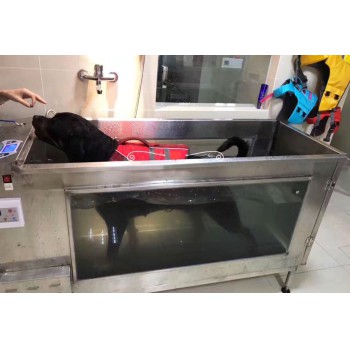 Electric Multi Function Dog Underwater Treadmil Canine Underwater Treadmill WT-C380