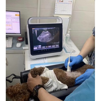 BMV MX-50A Touch Screen Portable Veterinary B/W Ultrasound Scanner