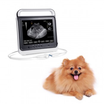 BMV MX-50A Touch Screen Portable Veterinary B/W Ultrasound Scanner