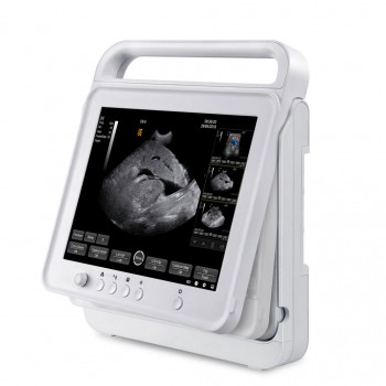 BMV HV-50C Touch Color Doppler System Veterinary Portable Ultrasound Scanner Machine For Animal