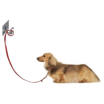 Stainless Steel Dog Leash Holder Pet Holder Dog Holder