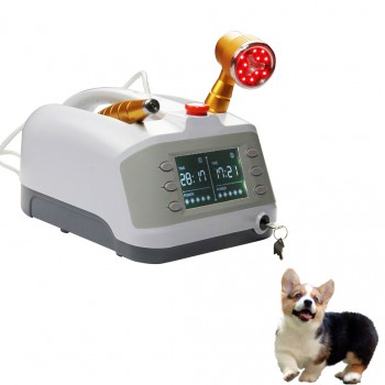 Veterinary Cold Laser HY30-D For Pain Relief Treatment