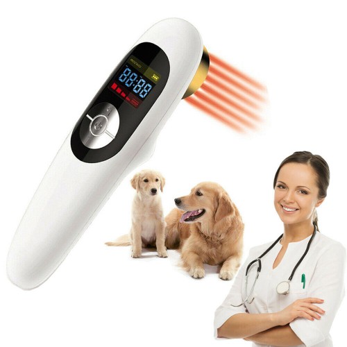 Veterinary Use Animals Clinic Pets Dogs Cats Horses 808nm Laser Therapy Device