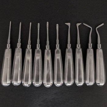 Veterinary Elevators Cat Dog Teeth Extraction Stainless Steel Minimally Invasive Elevators