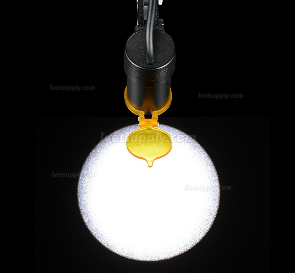 Veterinary 5W LED Head Light Clip-on Headlight Veterinary 5W LED Head Light Clip-on Headlight