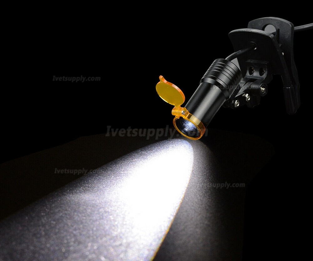 Veterinary 5W LED Head Light Clip-on Headlight Veterinary 5W LED Head Light Clip-on Headlight