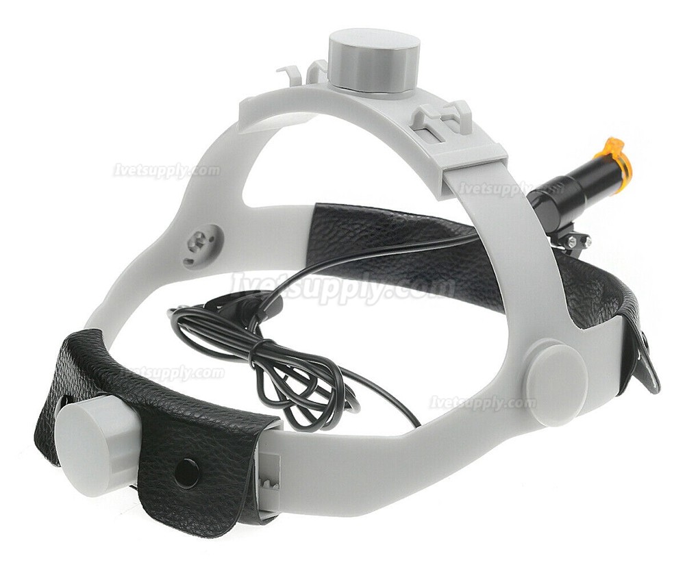 Veterinary 5W LED Head Light with Filter Headband Headlamp + Aluminum Box Veterinary 5W LED Head Light with Filter Headband Headlamp + Aluminum Box