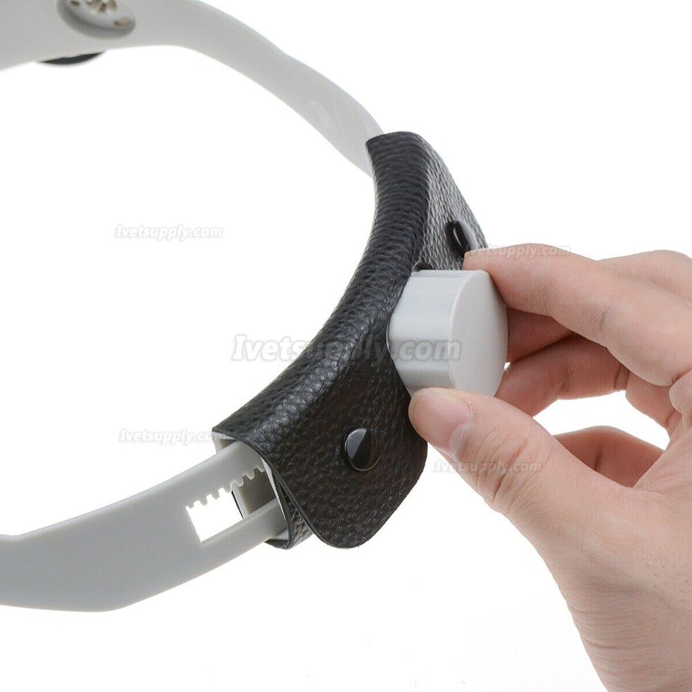 Veterinary 5W LED Head Light with Filter Headband Headlamp + Aluminum Box Veterinary 5W LED Head Light with Filter Headband Headlamp + Aluminum Box