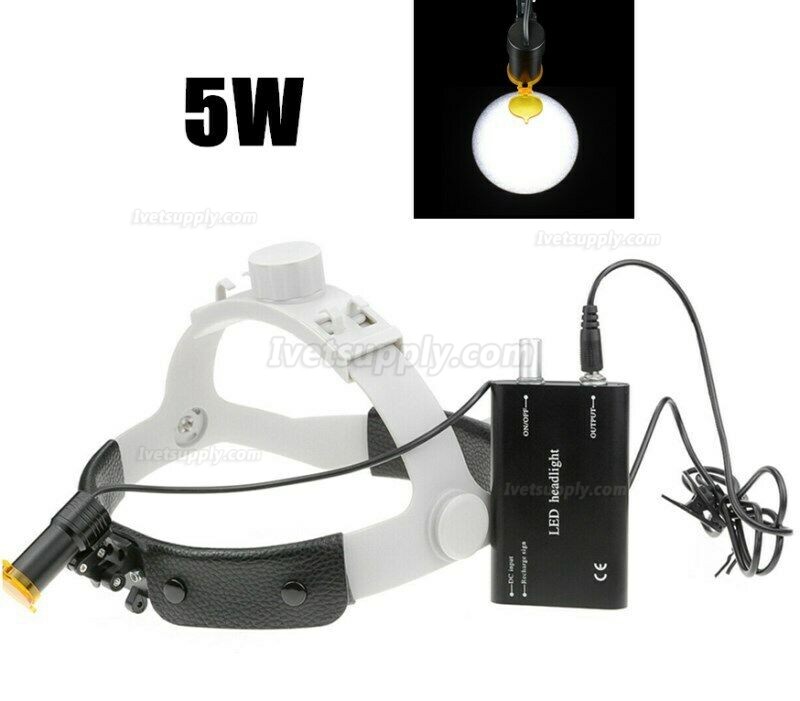 Veterinary 5W LED Head Light with Filter Headband Headlamp + Aluminum Box Veterinary 5W LED Head Light with Filter Headband Headlamp + Aluminum Box
